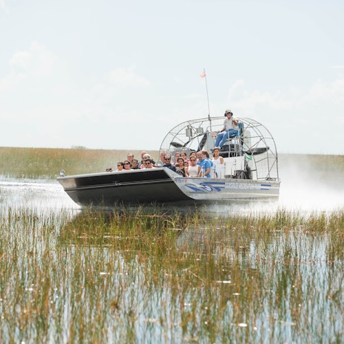 Recorridos en hidrodeslizador por los Everglades de Miami