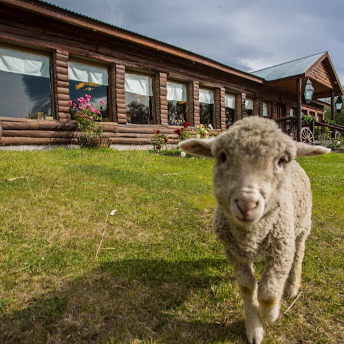 Excursões de um dia saindo de El Calafate