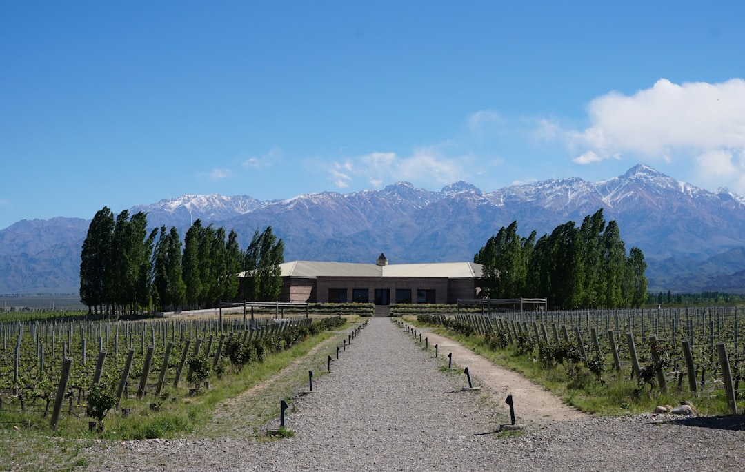 Bodegas de Mendoza