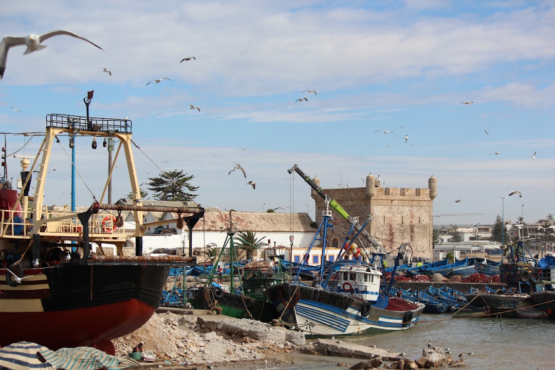 Puerto de Essaouira