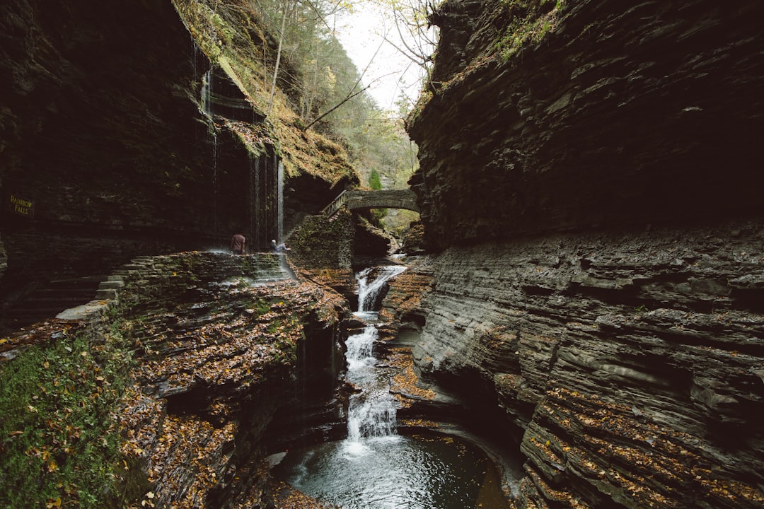 Garganta de Watkins Glen