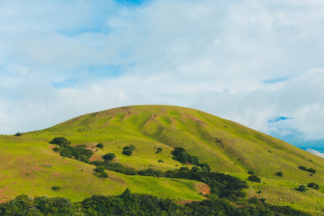 Hill Top