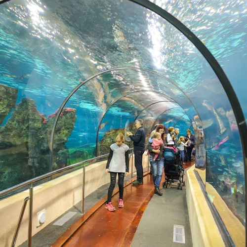 Barcelona Aquarium