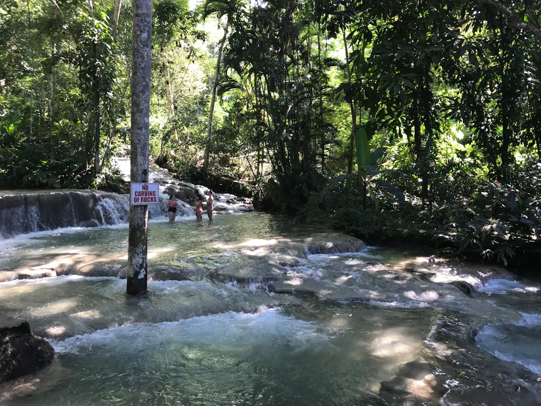 Cachoeiras do Rio Dunn (Ocho Rios)