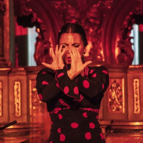 House of Flamenco Art