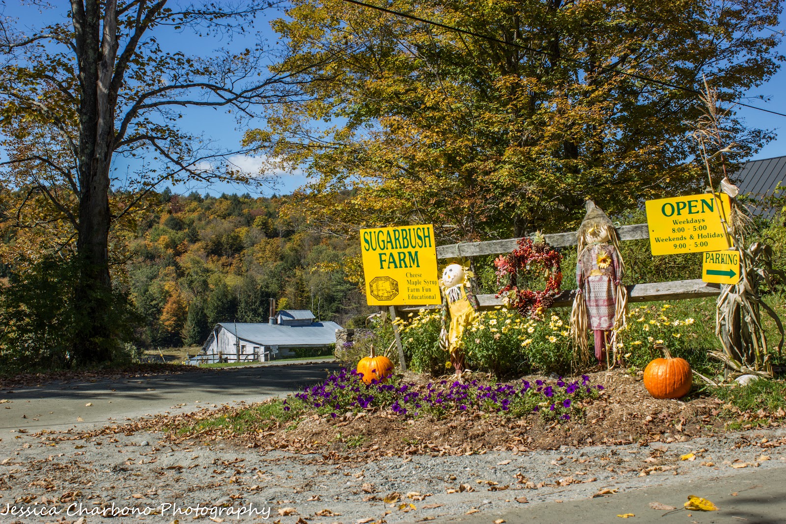 Sugarbush Farm