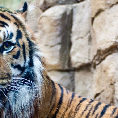 Zoo London