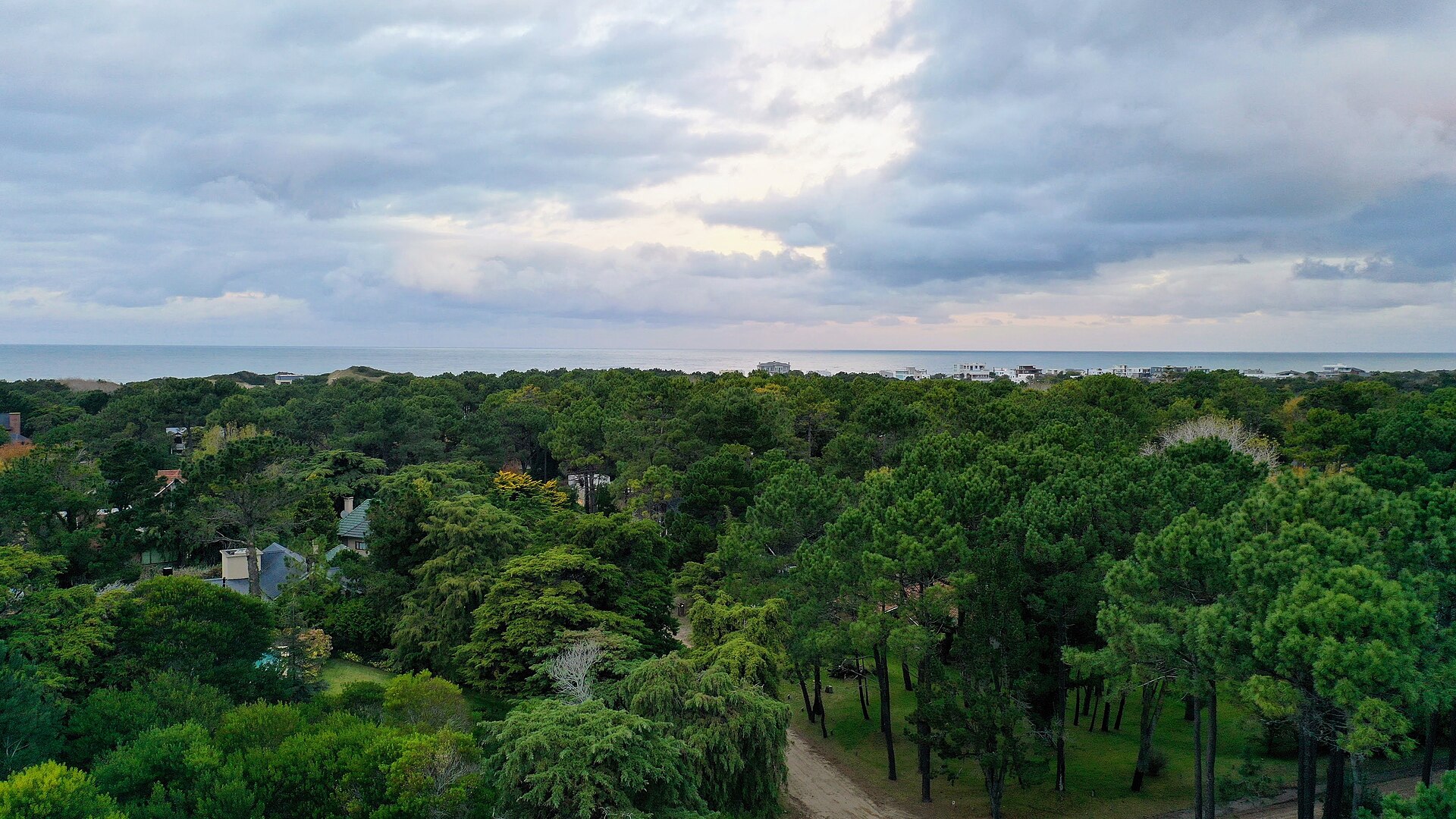 Bosque de Cariló