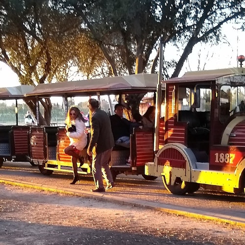 Parque del Alamillo