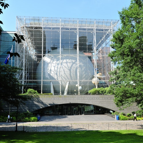 Museo de Historia Natural de Nueva York (AMNH)