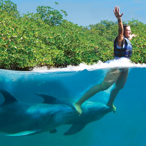 Xcaret Dolphinarium
