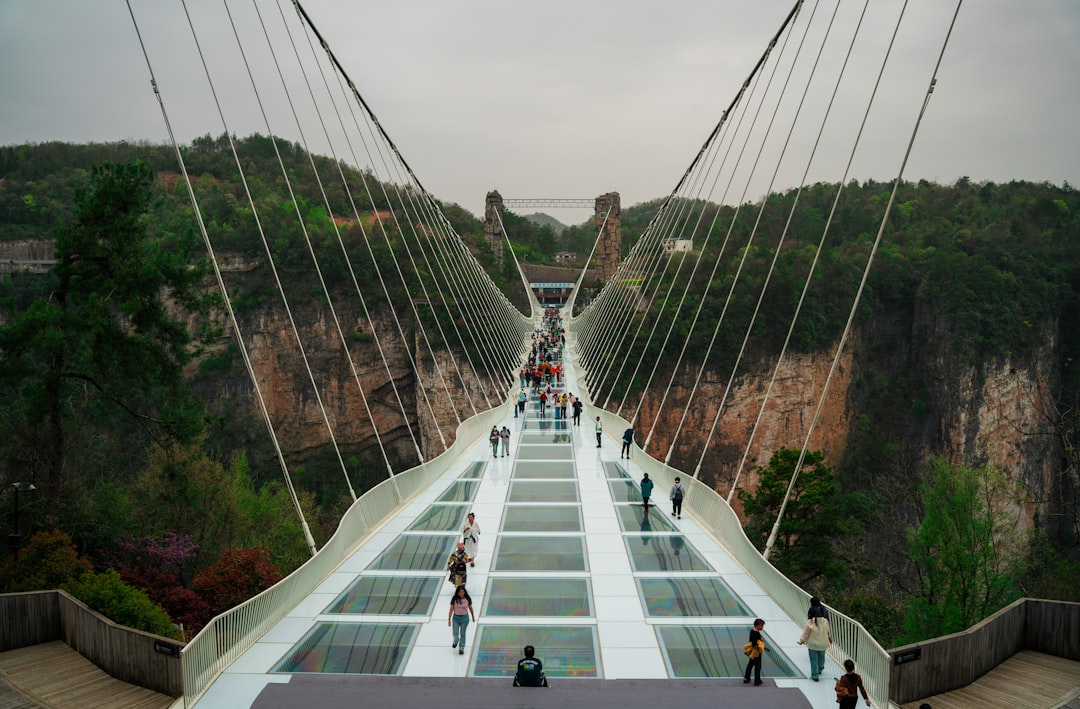 Bonifacius Bridge