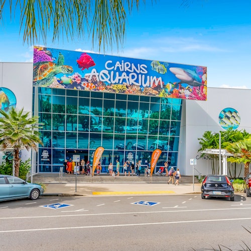Cairns Aquarium