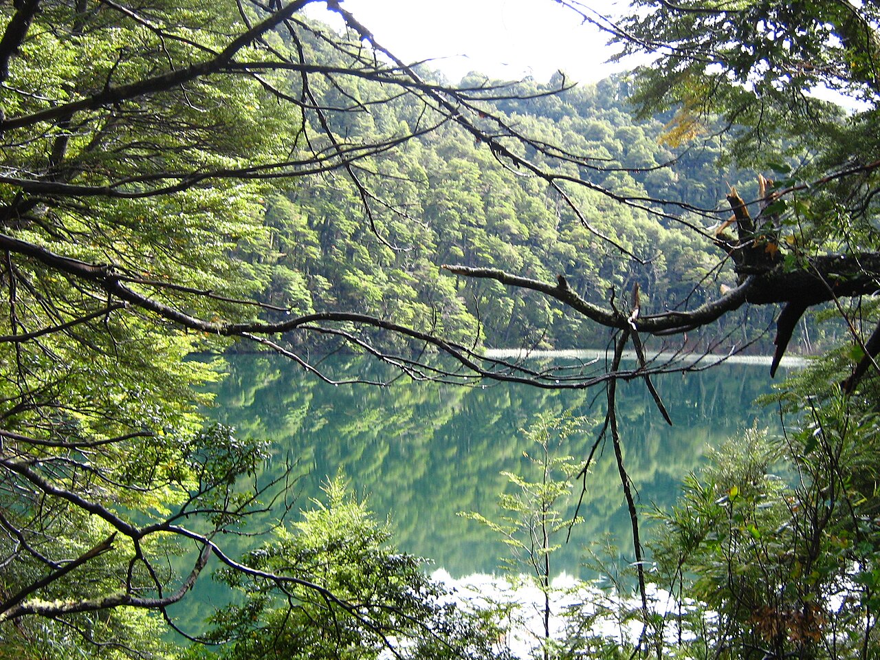 Lago Espejo