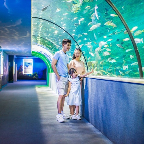 VinKE- und Vinpearl-Aquarium