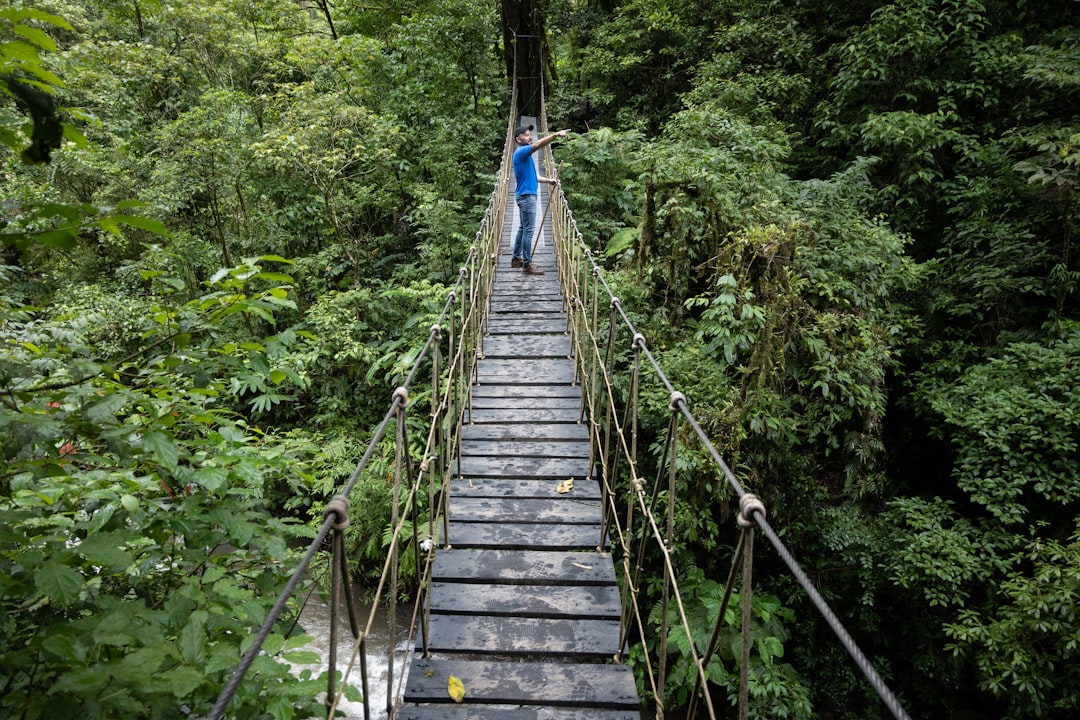 Biologisches Reservat Nebelwald Monteverde