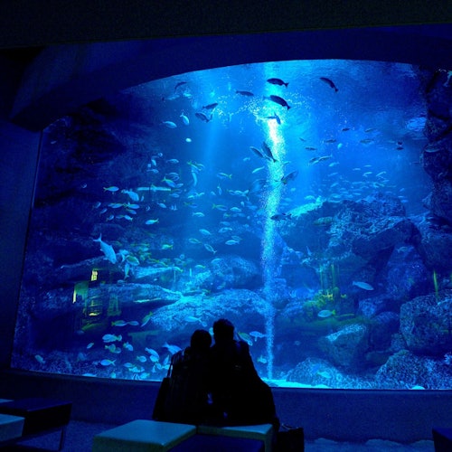 Sumida Aquarium