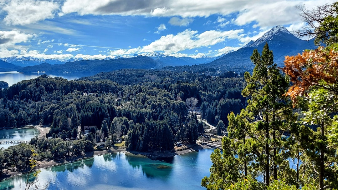 Bosque de Arrayanes