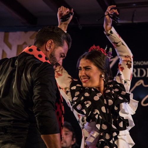 Flamenco-Shows in Granada
