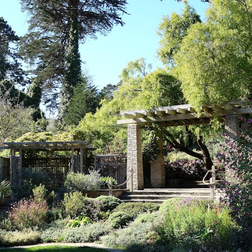 San Francisco Botanical Garden