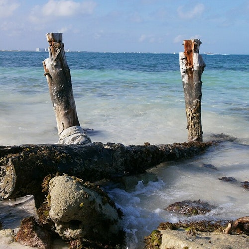 Playa Langosta