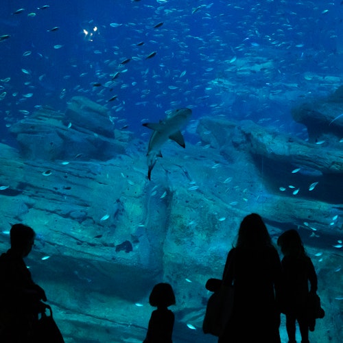 Paris Aquarium