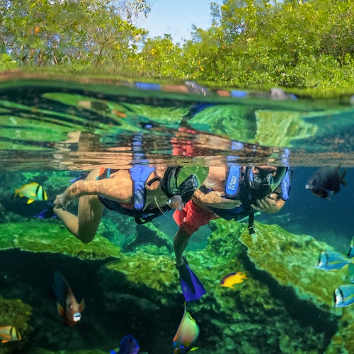 Day Trip to Tulum and the Cenotes from Cancún