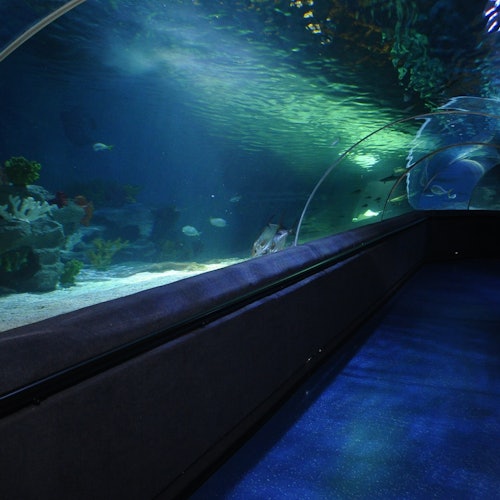 SEA LIFE Estambul