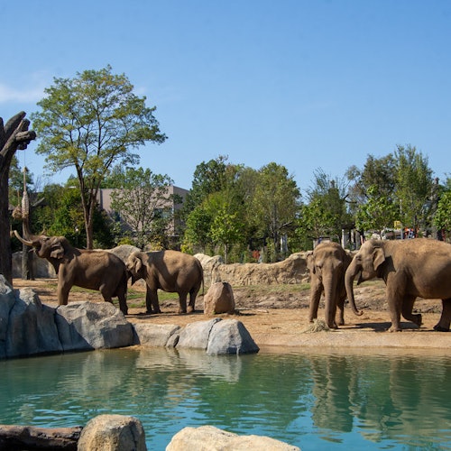 Zoológico e Jardim Botânico de Cincinnati