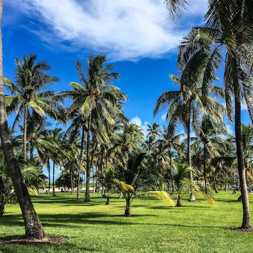Parque Lummus