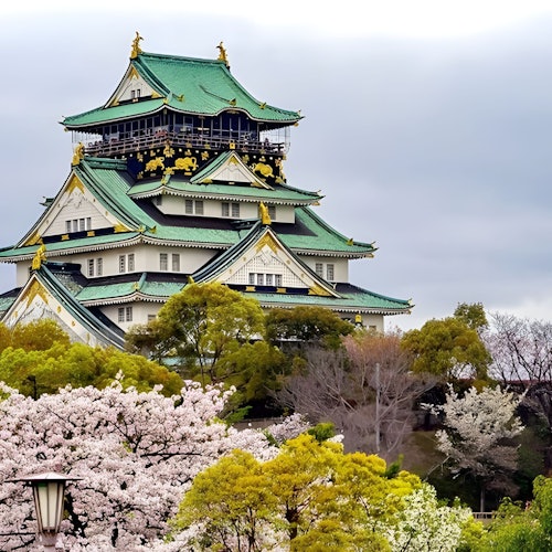 Walking Tours of Osaka