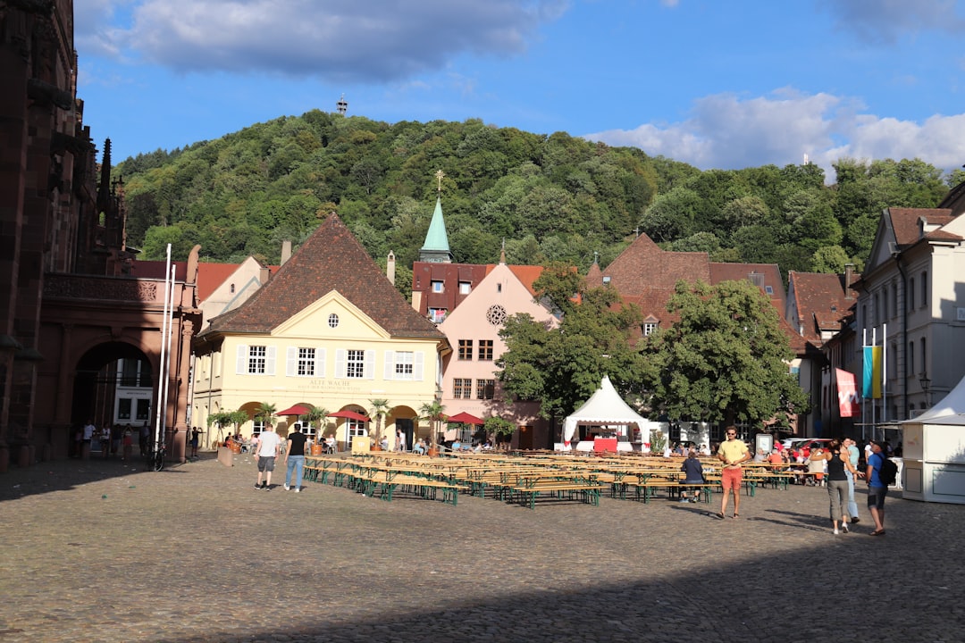 Bächle de Friburgo