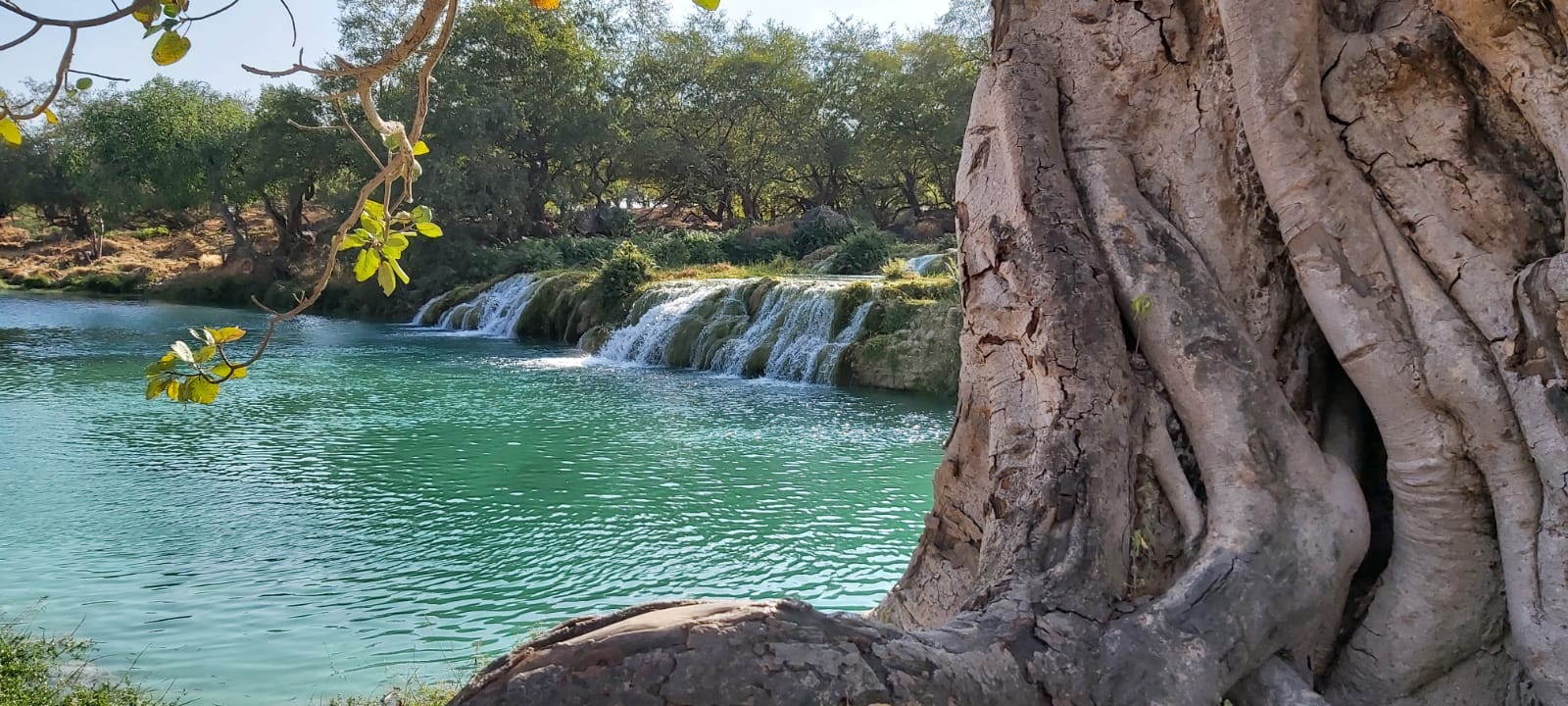 Salalah