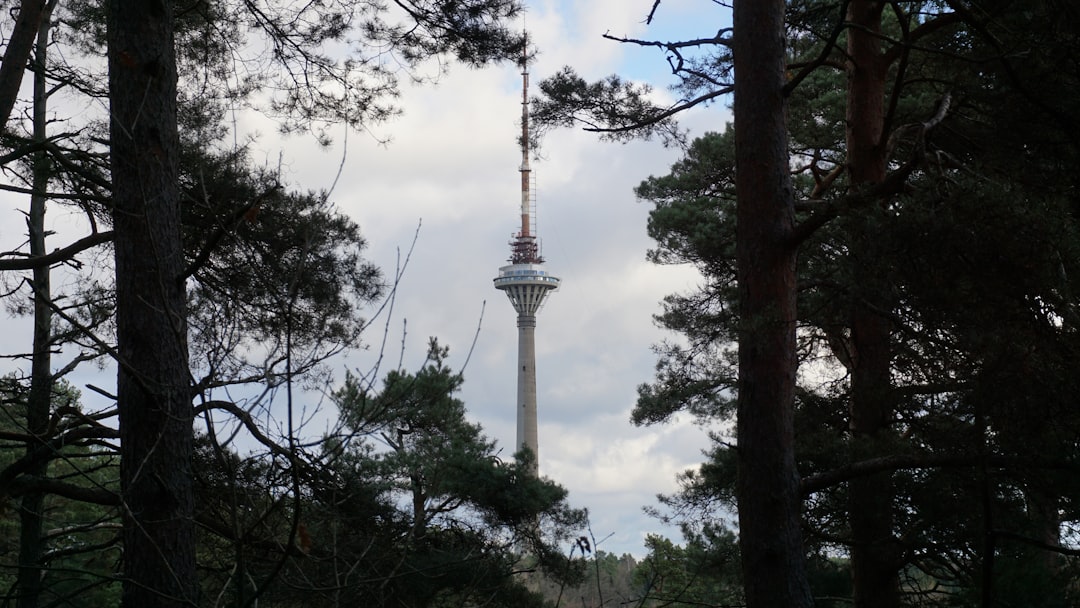 Tallin