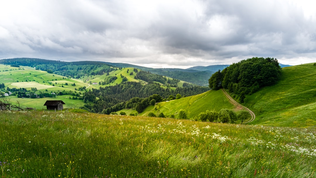 Baden-Wurtemberg