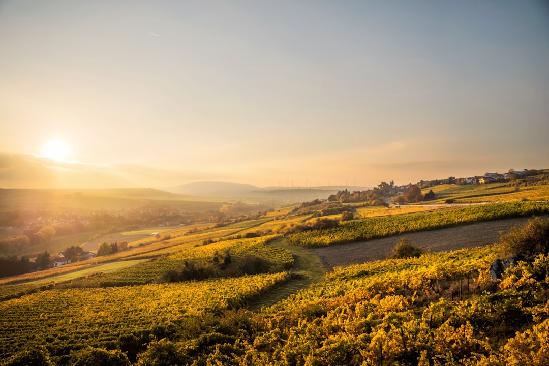 Rhineland-Palatinate
