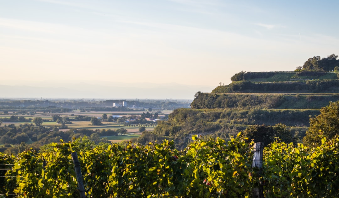 Freiburg