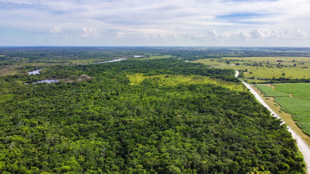 Belize District