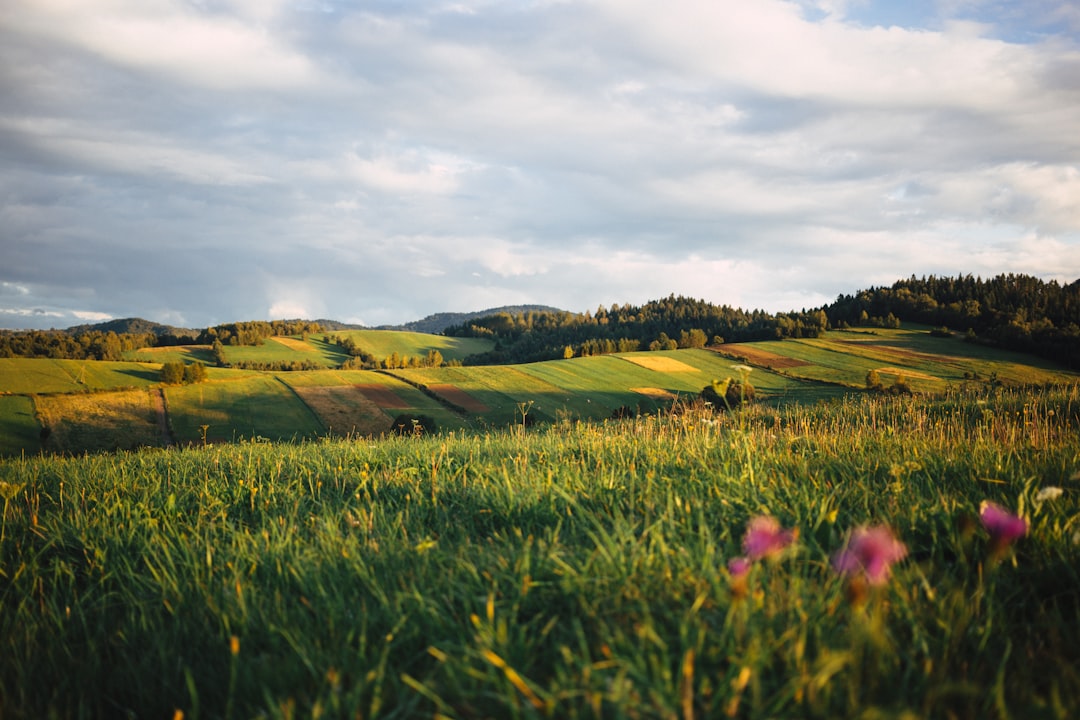 Pequena Polônia (Tatras)