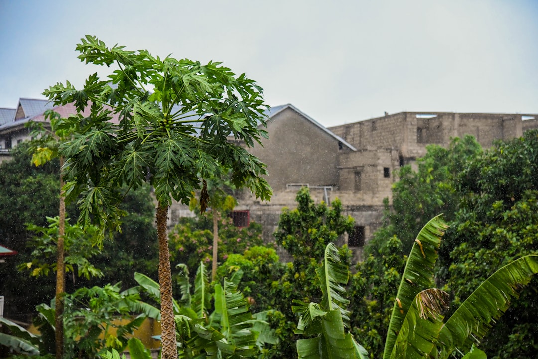 República do Congo