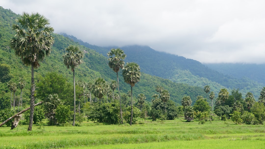 Camboja