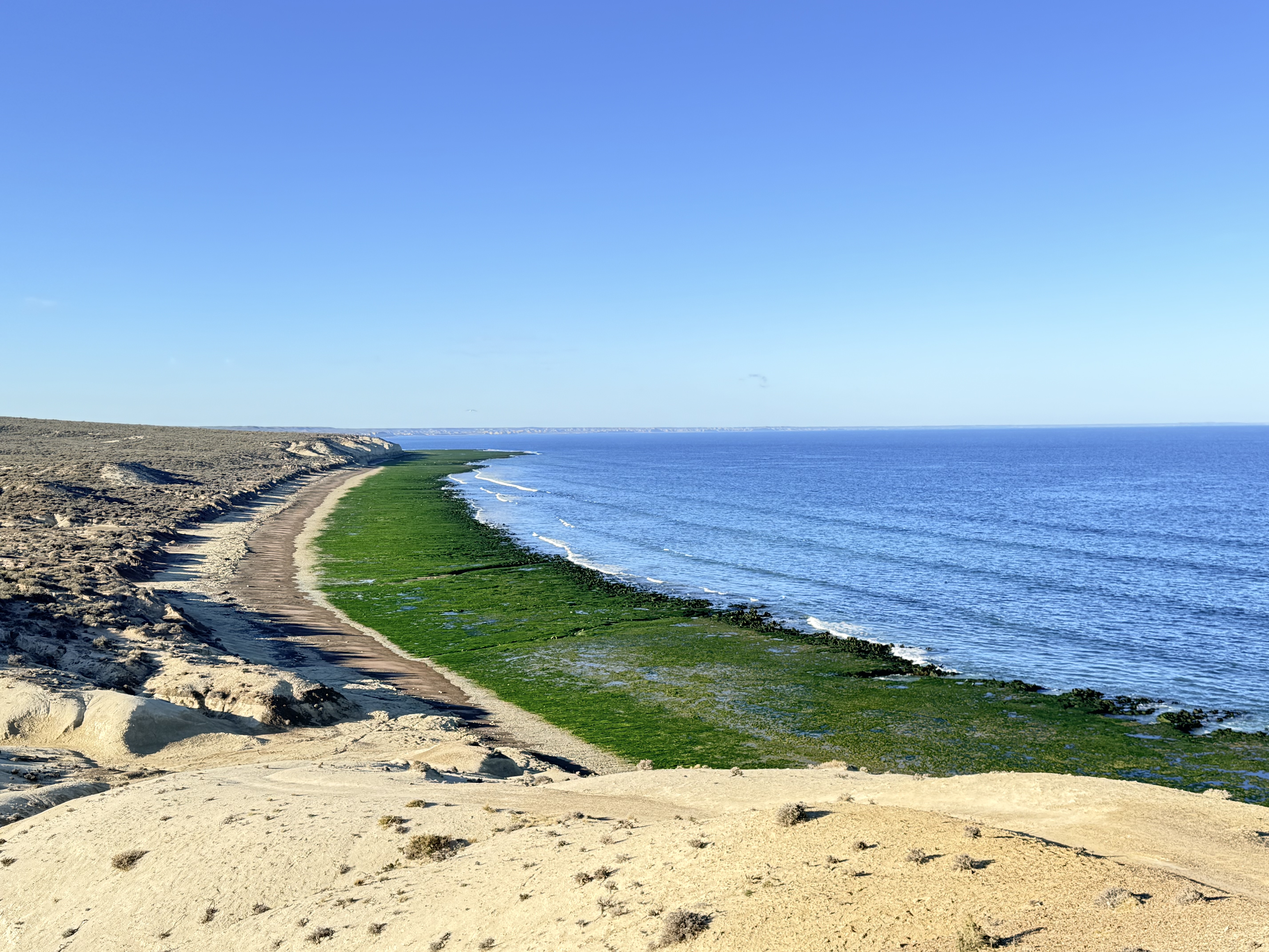 Puerto Madryn viel mehr, als ich erwartet hatte.