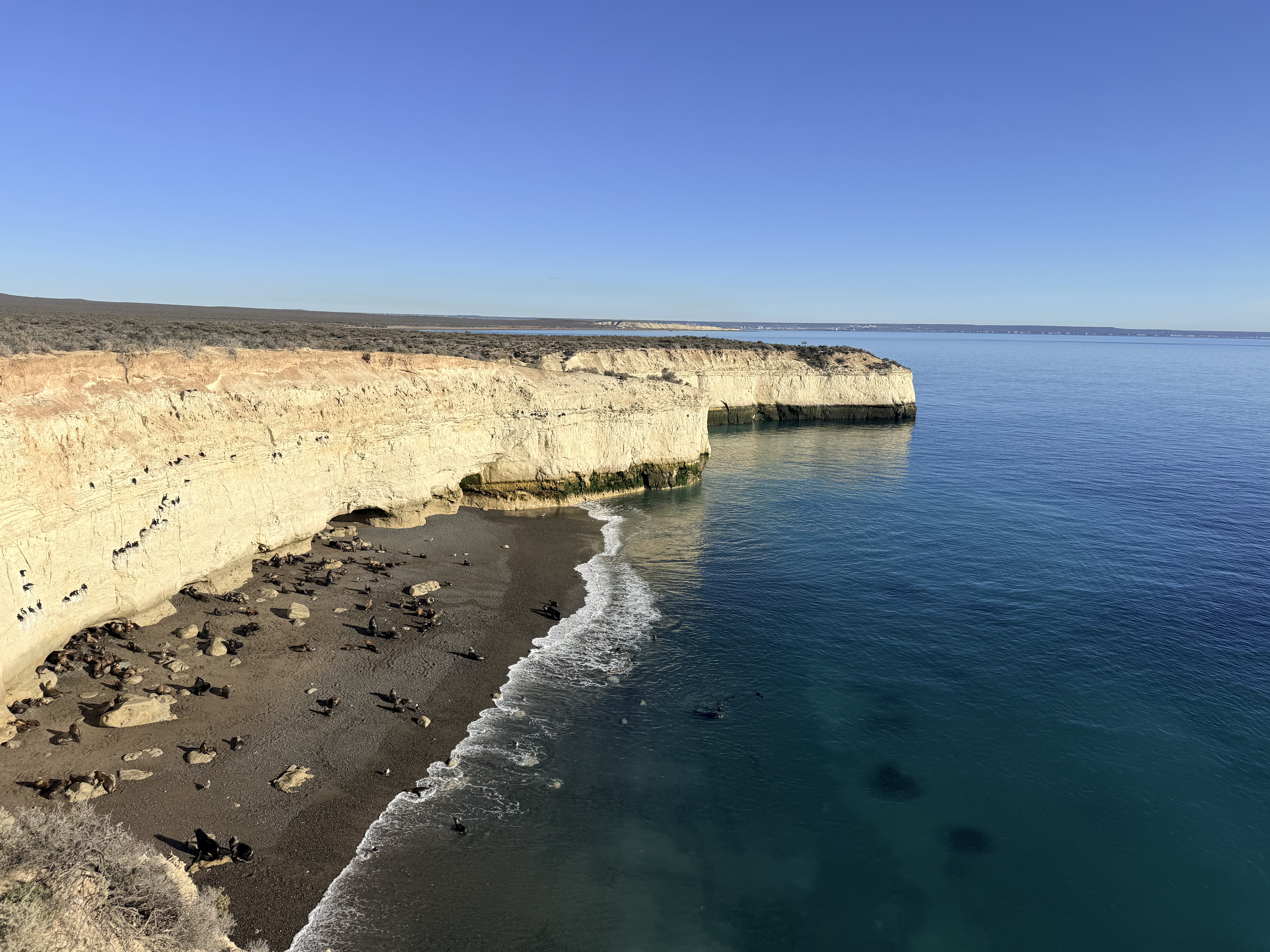 Puerto Madryn viel mehr, als ich erwartet hatte.